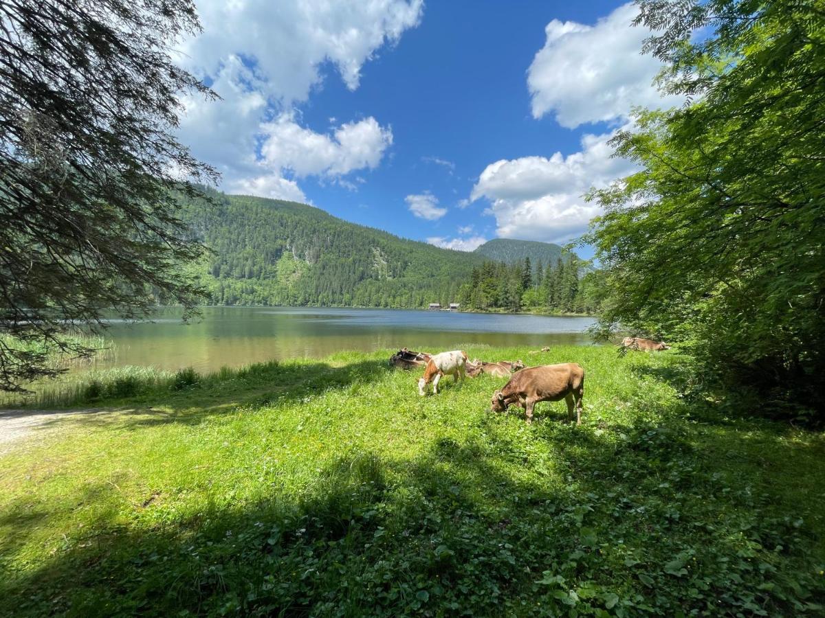 Bed and Breakfast Haus Bodenwinkler Grobming Esterno foto