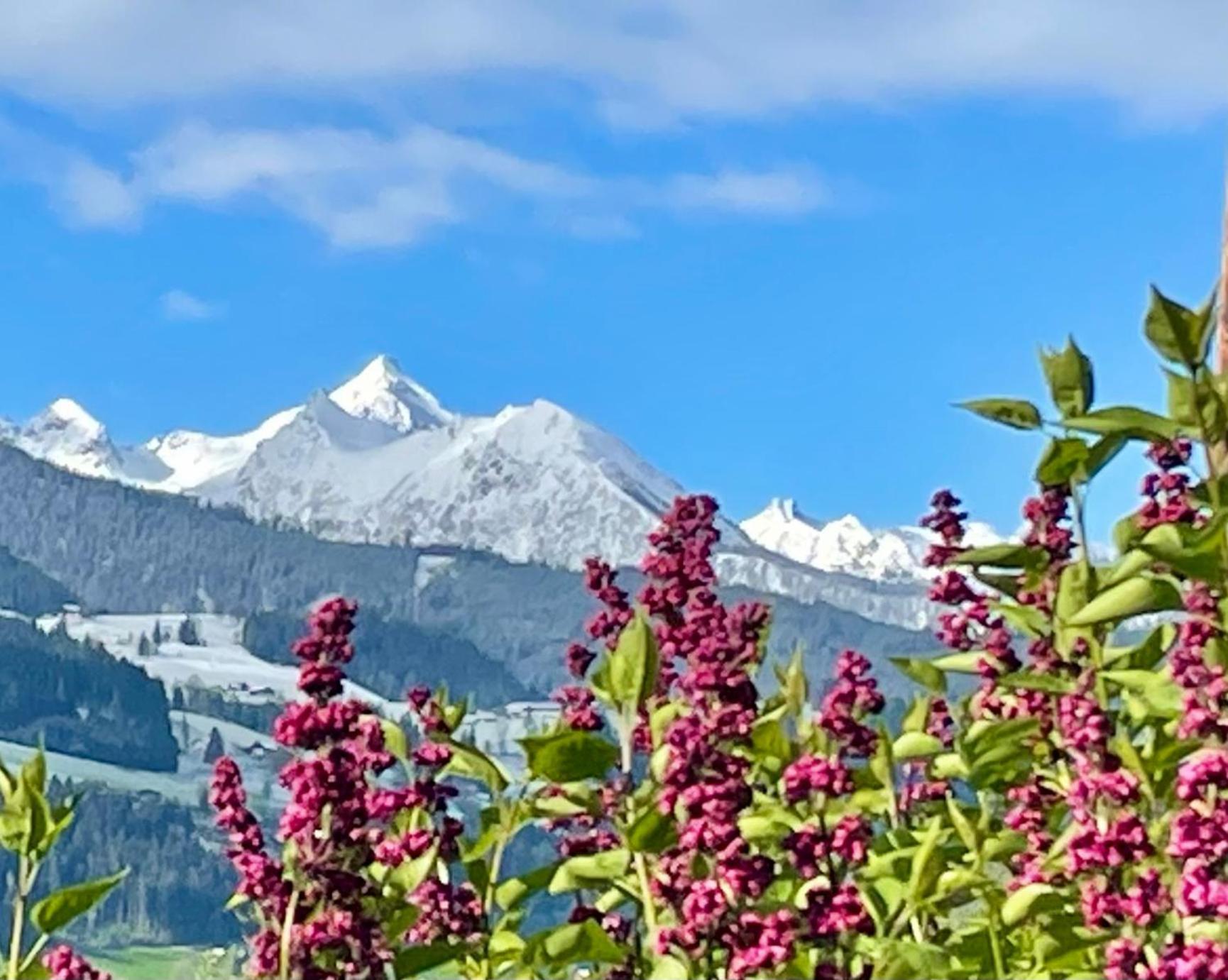 Bed and Breakfast Haus Bodenwinkler Grobming Esterno foto